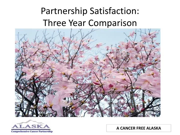 partnership satisfaction three year comparison
