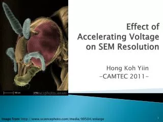 Effect of Accelerating Voltage on SEM Resolution