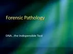 PPT - Forensic Pathology PowerPoint Presentation, free download - ID ...