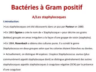 bact ries gram positif
