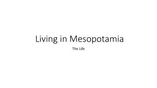 Living in Mesopotamia