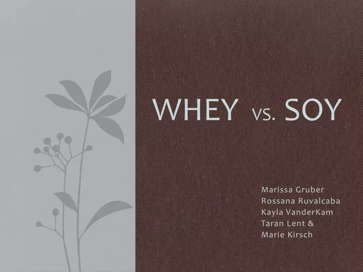whey vs soy
