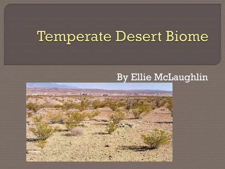 temperate desert biome
