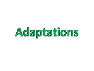 Adaptations