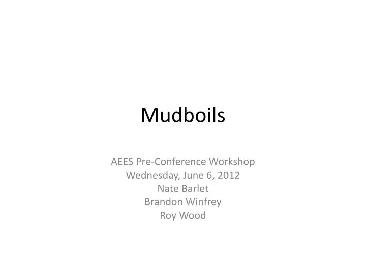 mudboils