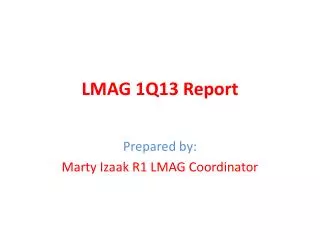 LMAG 1Q13 Report