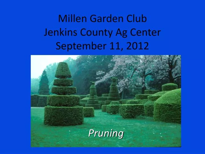 millen garden club jenkins county ag center september 11 2012