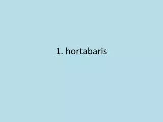 1. hortabaris