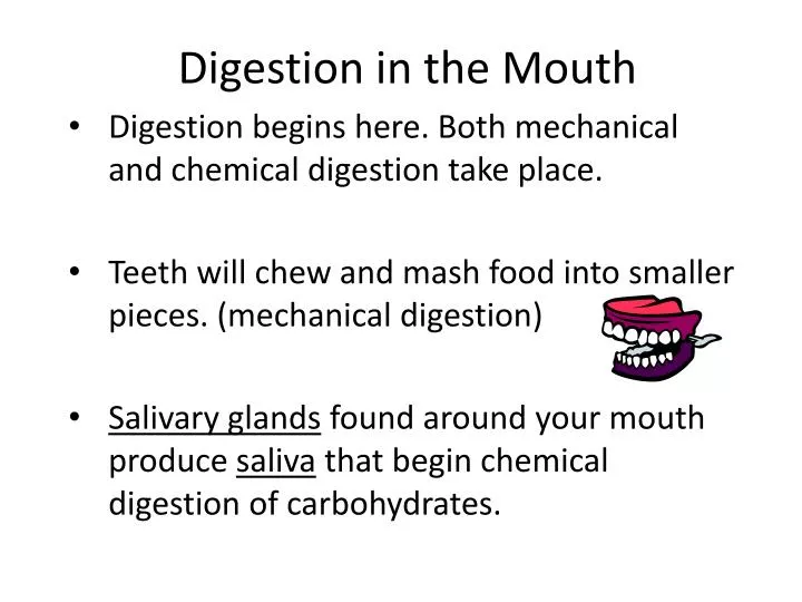 digestion in the mouth