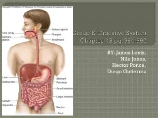 Group E: Digestive System Chapter. 48 pg. 984-992