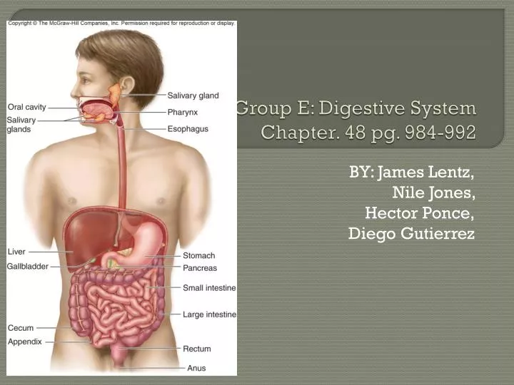 group e digestive system chapter 48 pg 984 992