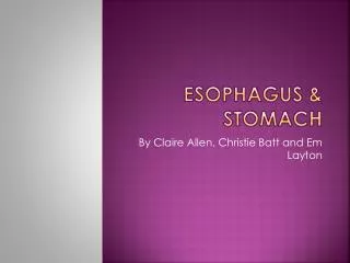 Esophagus &amp; Stomach
