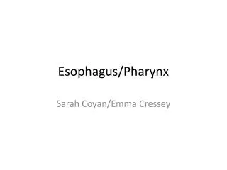 Esophagus/Pharynx