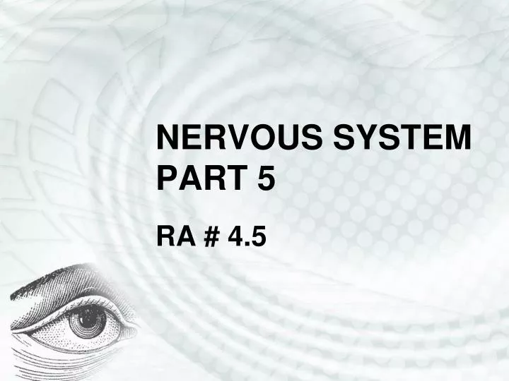 nervous system part 5