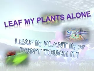 Leaf my plants alone