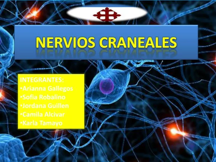 nervios craneales