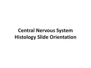 Central Nervous System Histology Slide Orientation