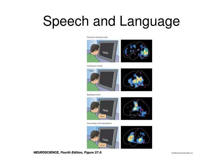 speech and language