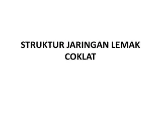 struktur jaringan lemak coklat