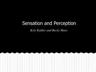 Sensation and Perception