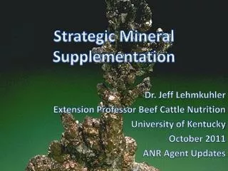 Strategic Mineral Supplementation