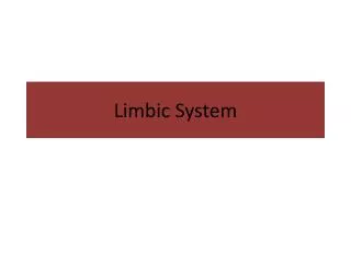Limbic System