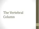 The Vertebral Column - slide 1