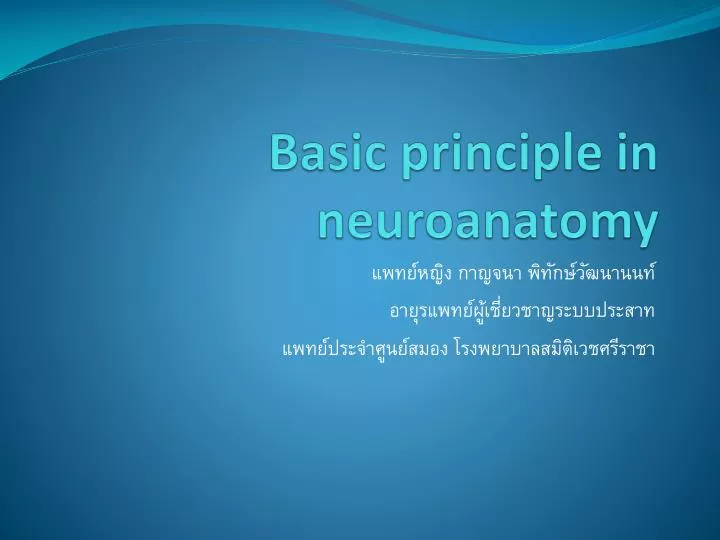 basic principle in neuroanatomy