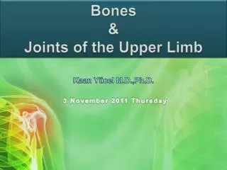 Bones &amp; Joints of the Upper Limb