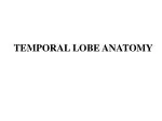 TEMPORAL LOBE ANATOMY - slide 1