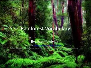 Rainforest Vocabulary