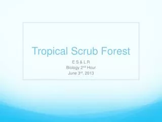 Tropical Scrub Forest