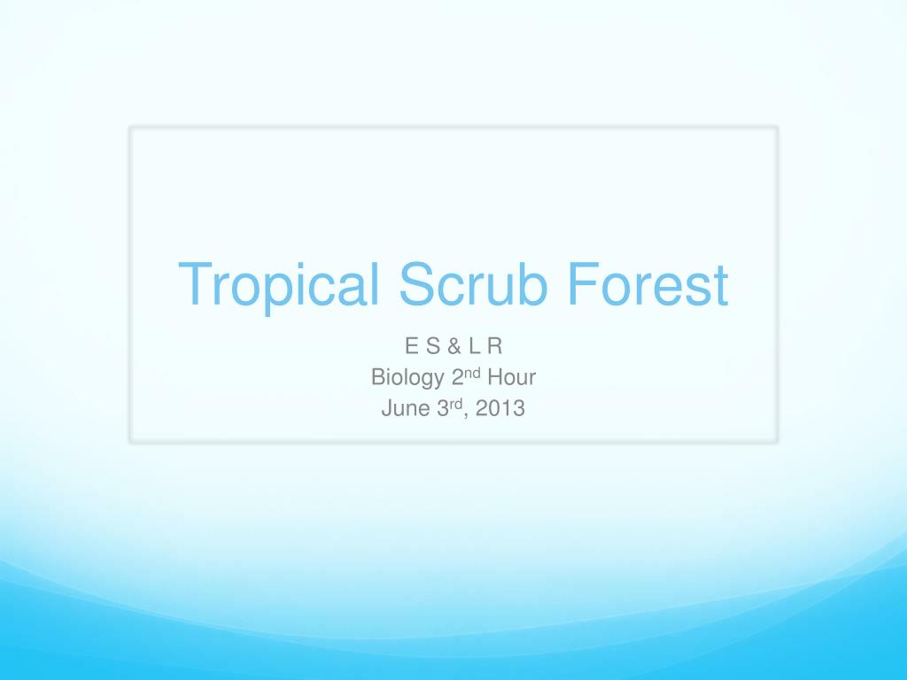 PPT - Tropical Scrub Forest PowerPoint Presentation, free download - ID ...
