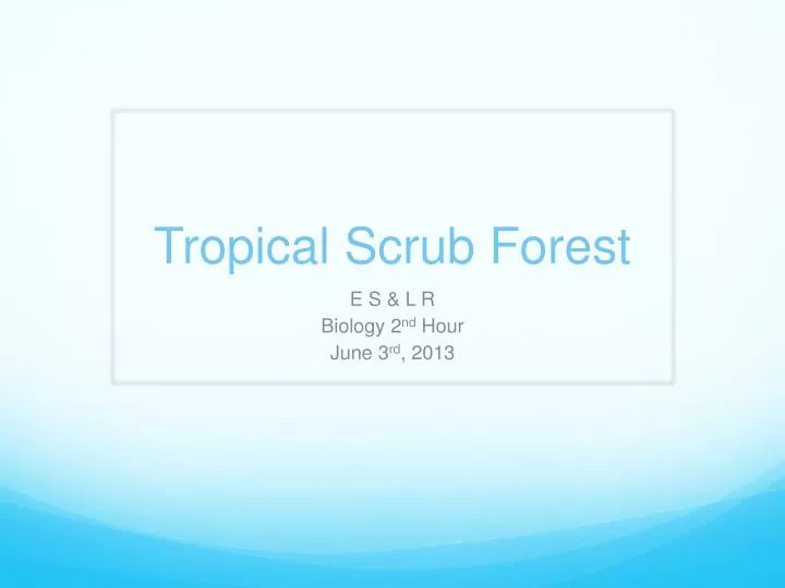 tropical scrub forest