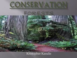 Conservation forests