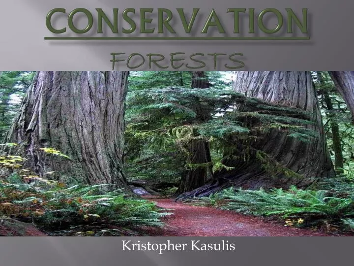 conservation forests