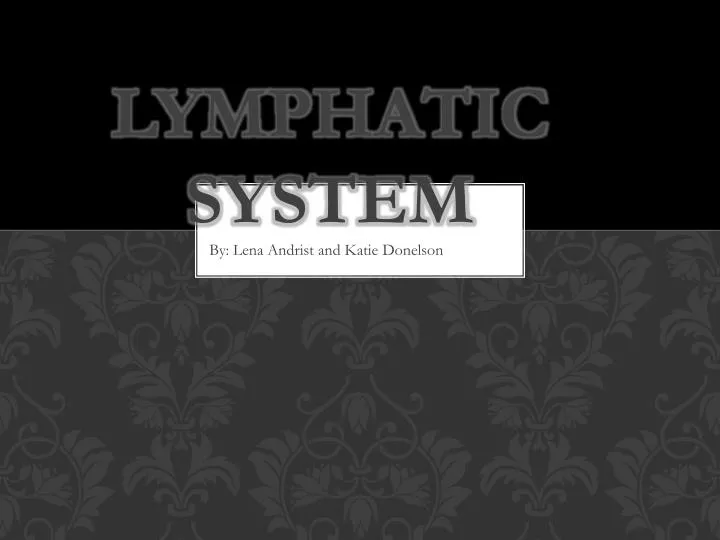 lymphatic system