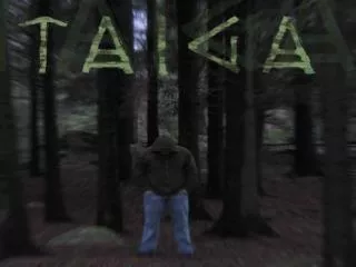 The Taiga Forest