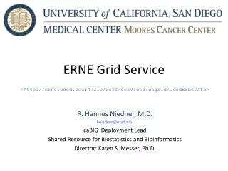 ERNE Grid Service