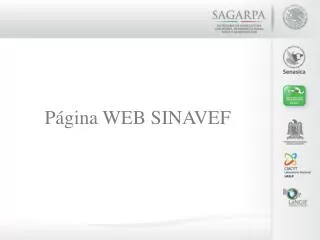 p gina web sinavef