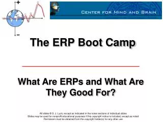 the erp boot camp