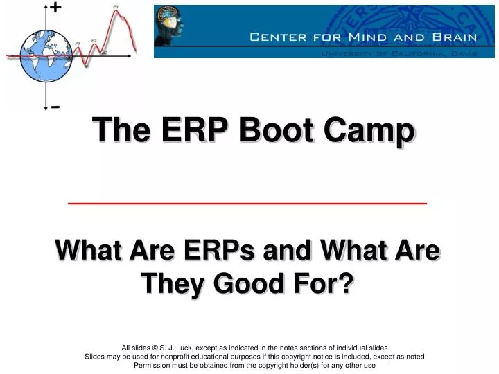 the erp boot camp