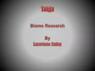 taiga