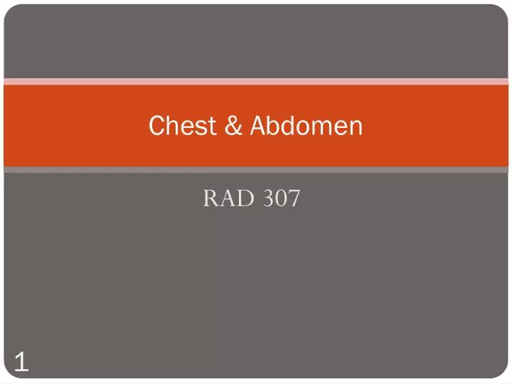 chest abdomen