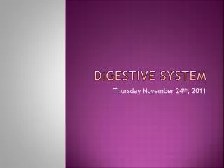 digestive system