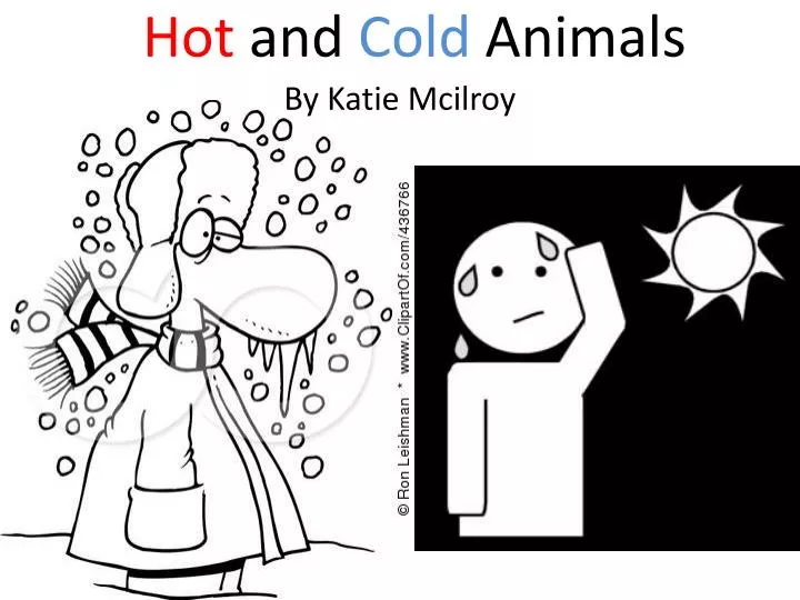 hot and cold animals