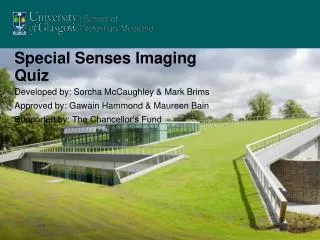 Special Senses Imaging Quiz