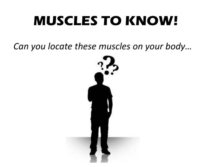 muscles to know