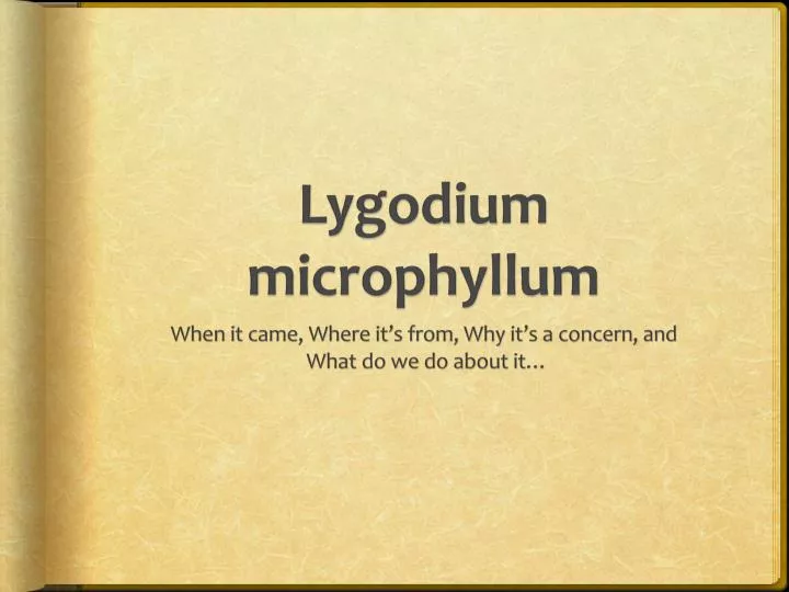lygodium microphyllum