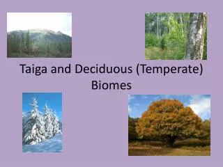 Taiga and Deciduous (Temperate) Biomes